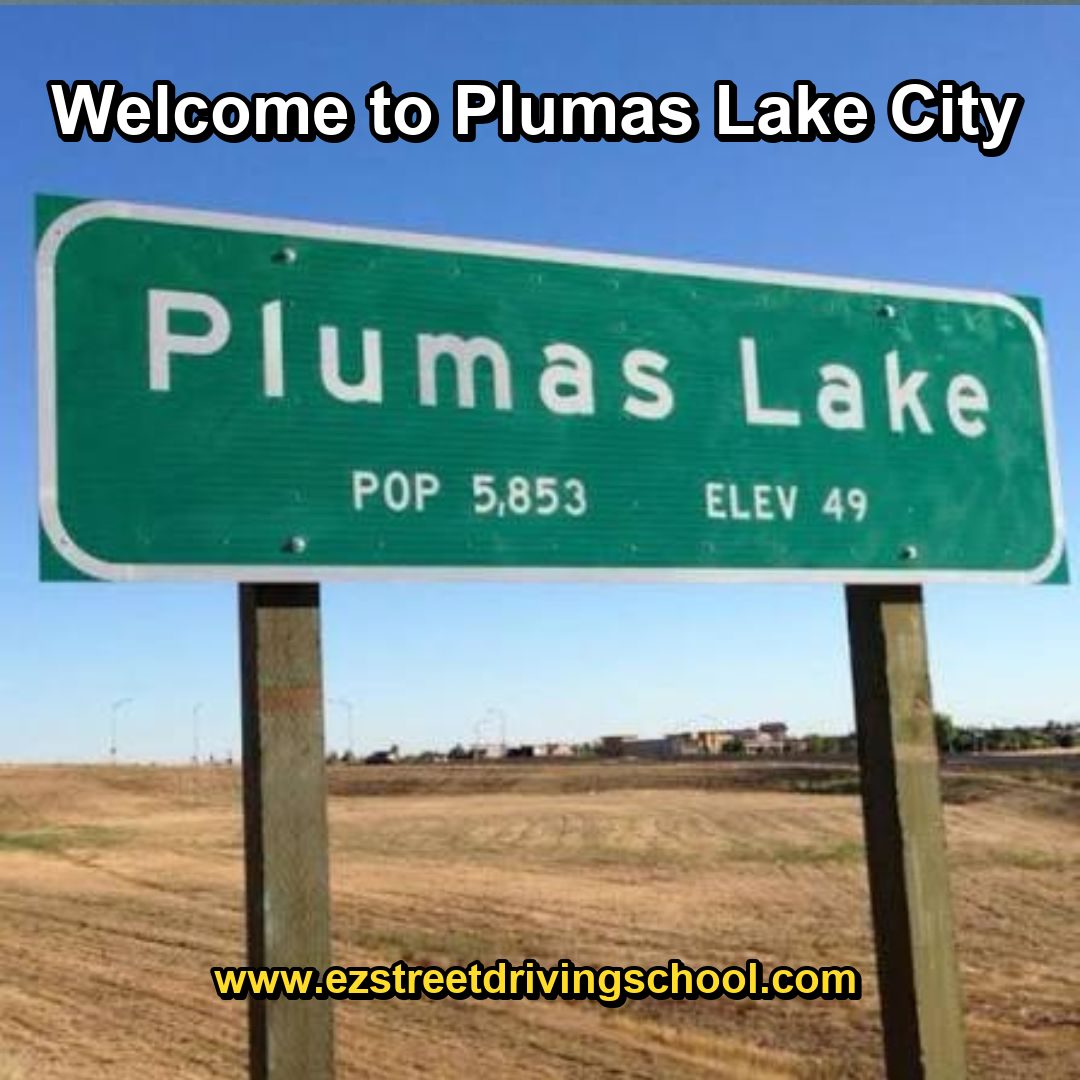 Driving Lessons in Plumas Lake